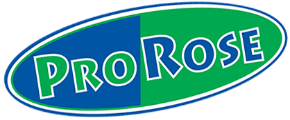 ch logo